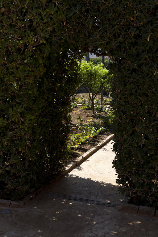 B&B 7Cento Ulivi Valderice Dış mekan fotoğraf